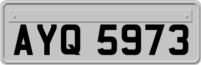 AYQ5973