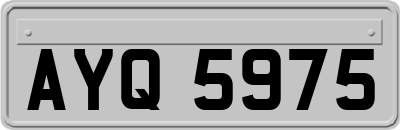 AYQ5975