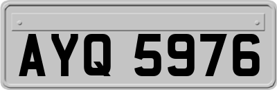 AYQ5976