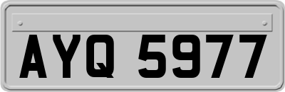AYQ5977