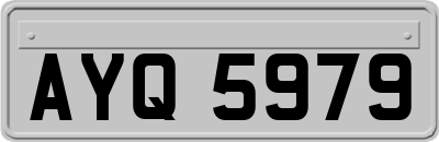 AYQ5979