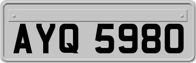 AYQ5980