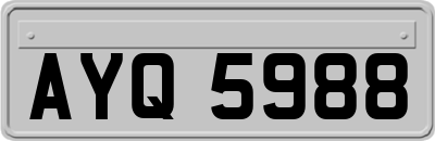 AYQ5988