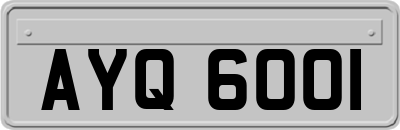 AYQ6001