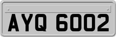 AYQ6002