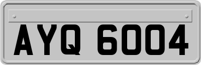 AYQ6004