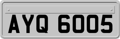 AYQ6005
