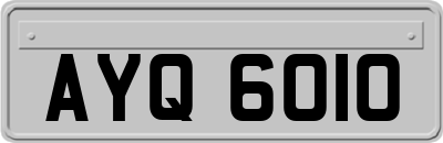 AYQ6010