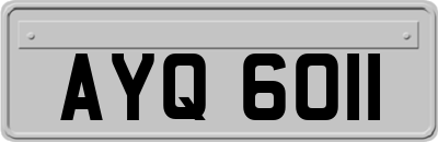AYQ6011