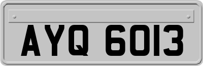 AYQ6013