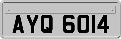AYQ6014