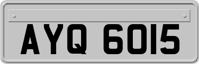 AYQ6015