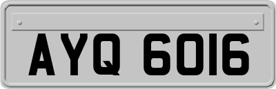 AYQ6016