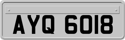 AYQ6018