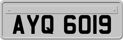 AYQ6019