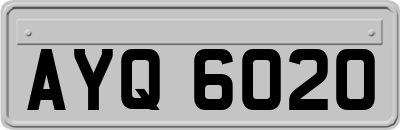 AYQ6020
