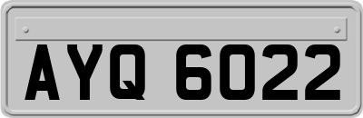 AYQ6022