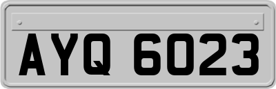 AYQ6023