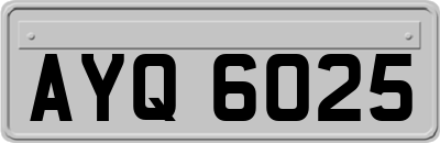 AYQ6025