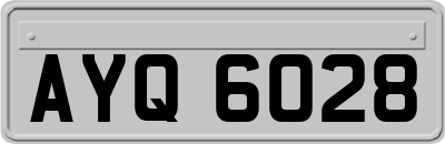 AYQ6028