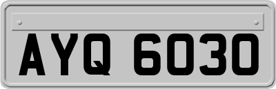 AYQ6030