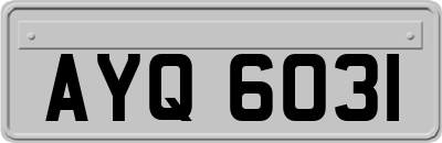 AYQ6031