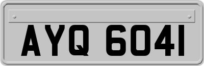 AYQ6041