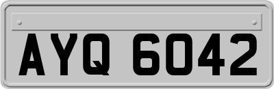 AYQ6042