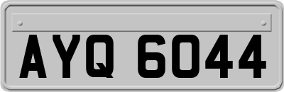 AYQ6044