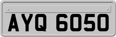 AYQ6050