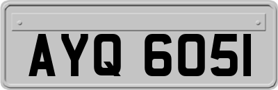 AYQ6051