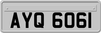 AYQ6061