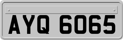 AYQ6065