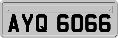 AYQ6066