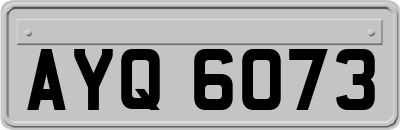 AYQ6073