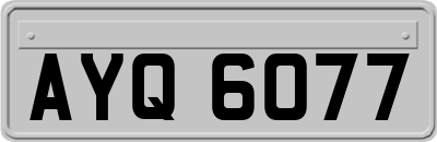 AYQ6077