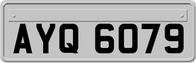 AYQ6079