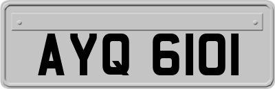 AYQ6101