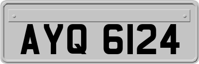 AYQ6124