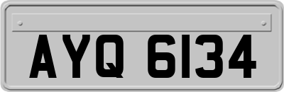AYQ6134