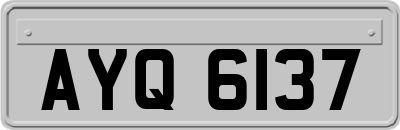 AYQ6137