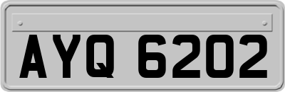 AYQ6202