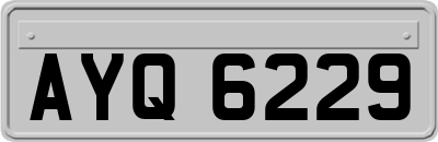 AYQ6229