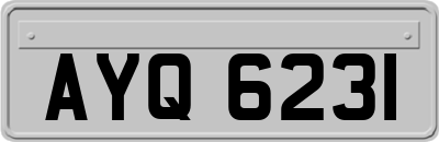 AYQ6231