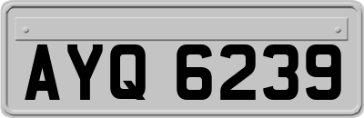 AYQ6239