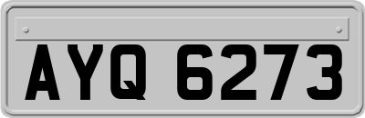 AYQ6273