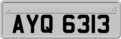 AYQ6313