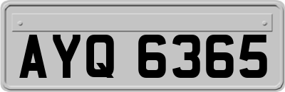 AYQ6365
