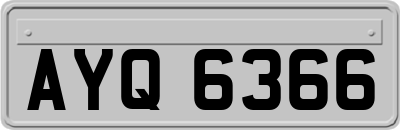 AYQ6366