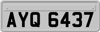 AYQ6437